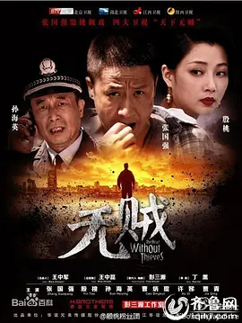 无贼 (2013)百度网盘资源-电视剧全48集