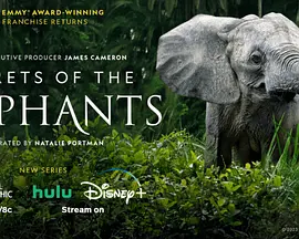 大象的秘密（2023）百度网盘资源纪录片全集免费高清在线观看