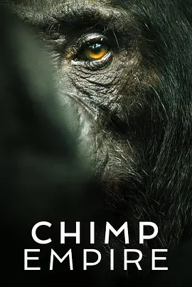黑猩猩帝国（2023）百度网盘资源纪录片全集免费高清在线观看