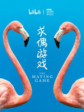 求偶游戏(2021)-网盘资源-纪录片全5集