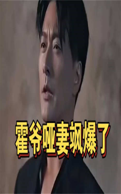 霍爷哑妻飒爆了（90集）百度网盘资源免费全集高清在线观看
