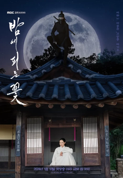 夜晚开的花（2024）1080P百度网盘资源韩剧全集免费高清在线观看插图