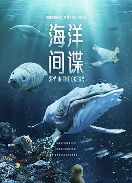 海洋间谍（2023）1080P百度网盘资源纪录片全集免费高清在线观看