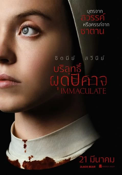 无瑕修女（2024）1080P百度网盘资源免费电影高清在线观看插图