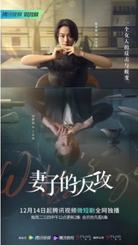 妻子的反击（81集）百度网盘资源免费全集高清在线观看插图