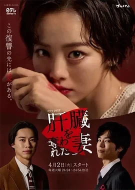 被夺走肝的妻子（2024）1080P百度网盘资源日剧全集免费高清在线观看插图
