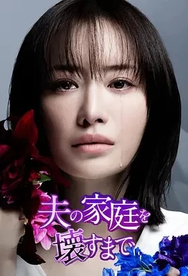 直到破坏了丈夫的家庭（2024）全12集-百度网盘1080P高清日剧资源插图