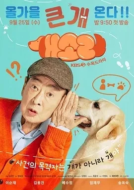 狗话 개소리 (2024)全12集-百度网盘1080P高清免费韩剧资源插图