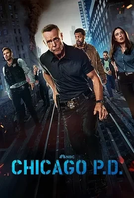 芝加哥警署 第十二季(2024)更至20集-百度网盘1080P高清免费美剧资源