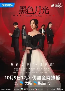 黑色月光 (2024)全25集-百度网盘1080P高清免费国产剧资源插图