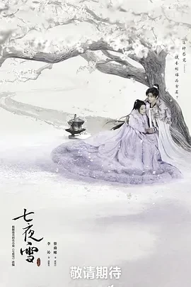 七夜雪 (2024)更至32集-百度网盘1080P高清免费国产剧资源插图