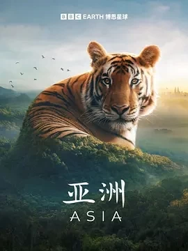 亚洲 Asia (2024)更至07集-百度网盘1080P高清免费纪录片资源插图