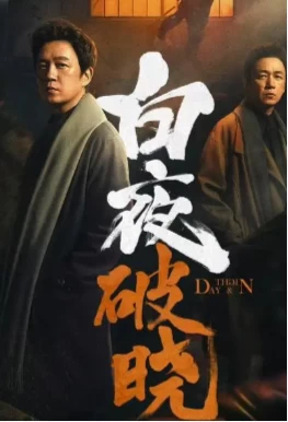 白夜追凶 重逢版(2024)全8集-百度网盘1080P高清免费国产剧资源插图