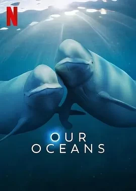 我们的海洋 (2024)全5集-百度网盘1080P高清免费电视剧资源插图