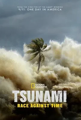 海啸：与时间赛跑 (2024)全3集-百度网盘1080P高清免费纪录片资源插图