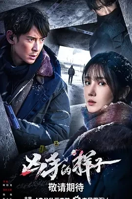 凶手的样子 (2024)全16集-百度网盘1080P高清免费电视剧资源插图