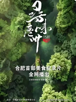寻味庐州(2024)更至12.22期-百度网盘1080P高清免费纪录片剧资源插图
