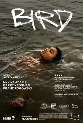 鸟 Bird (2024)百度网盘1080P高清免费欧美电影资源插图