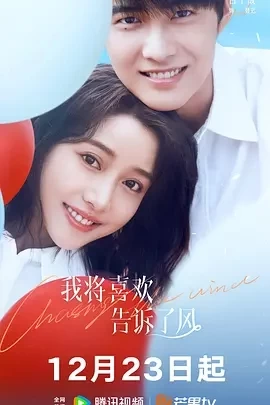 我将喜欢告诉了风 (2024)全20集-百度网盘1080P高清免费国产电视剧资源插图