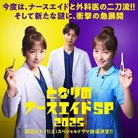隔壁的护士助理 特别篇2025(2025)百度网盘1080P高清免费SP电影资源插图
