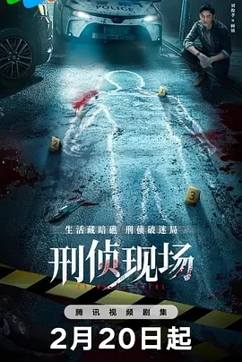 刑侦现场 (2025)百度网盘1080P高清免费国产剧资源插图