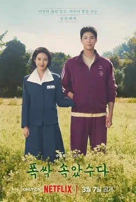 苦尽柑来遇见你 (2025)全16集-百度网盘1080P高清免费韩剧资源插图