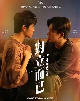对立而已 (2025)更至09集-百度网盘1080P高清免费台剧资源