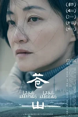 苍山 (2023)百度网盘1080P高清免费国产电影资源插图
