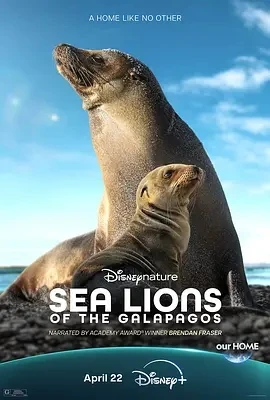 海狮利奥环岛记 (2025)百度网盘1080P高清免费纪录片电影资源插图