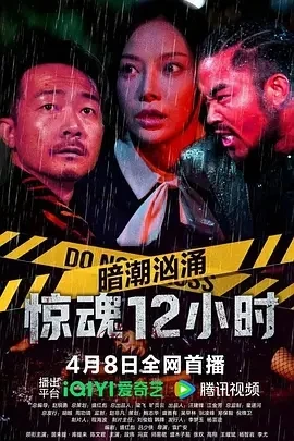 暗潮汹涌之惊魂12小时 (2025)百度网盘1080P高清免费国产电影资源插图