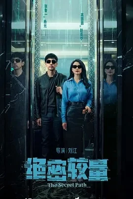 绝密较量 (2025)百度网盘1080P高清免费国产剧资源插图