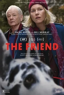 朋友 The Friend (2024)无字幕-百度网盘1080P高清免费美国电影资源插图