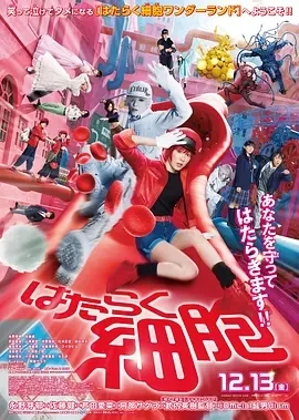 工作细胞 真人版 (2024)百度网盘1080P高清免费日本电影资源插图