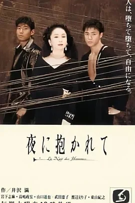 拥抱黑夜 夜に抱かれて (1994)全10集-百度网盘1080P高清免费日剧资源插图