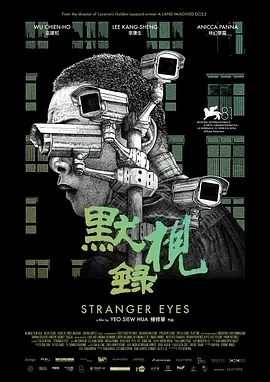 默视录 Stranger Eyes (2024)百度网盘1080P高清免费电影资源插图