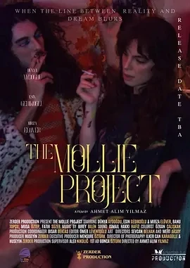 莫莉计划 The Mollie Project (2025)百度网盘1080P高清免费土耳其电影资源插图