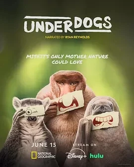 失败者 Underdogs (2025)百度网盘1080P高清免费美国纪录片资源