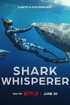 鲨语者 Shark Whisperer (2025)百度网盘1080P高清免费美国纪录片电影资源